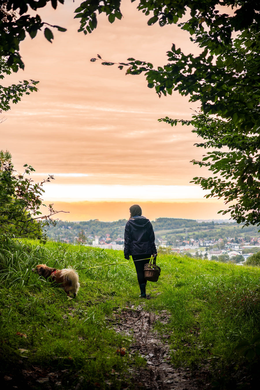 Woman walking a dog along a muddy countryside trail, carrying a basket, with a scenic town and rolling hills in the distance beneath a warm sunset sky.