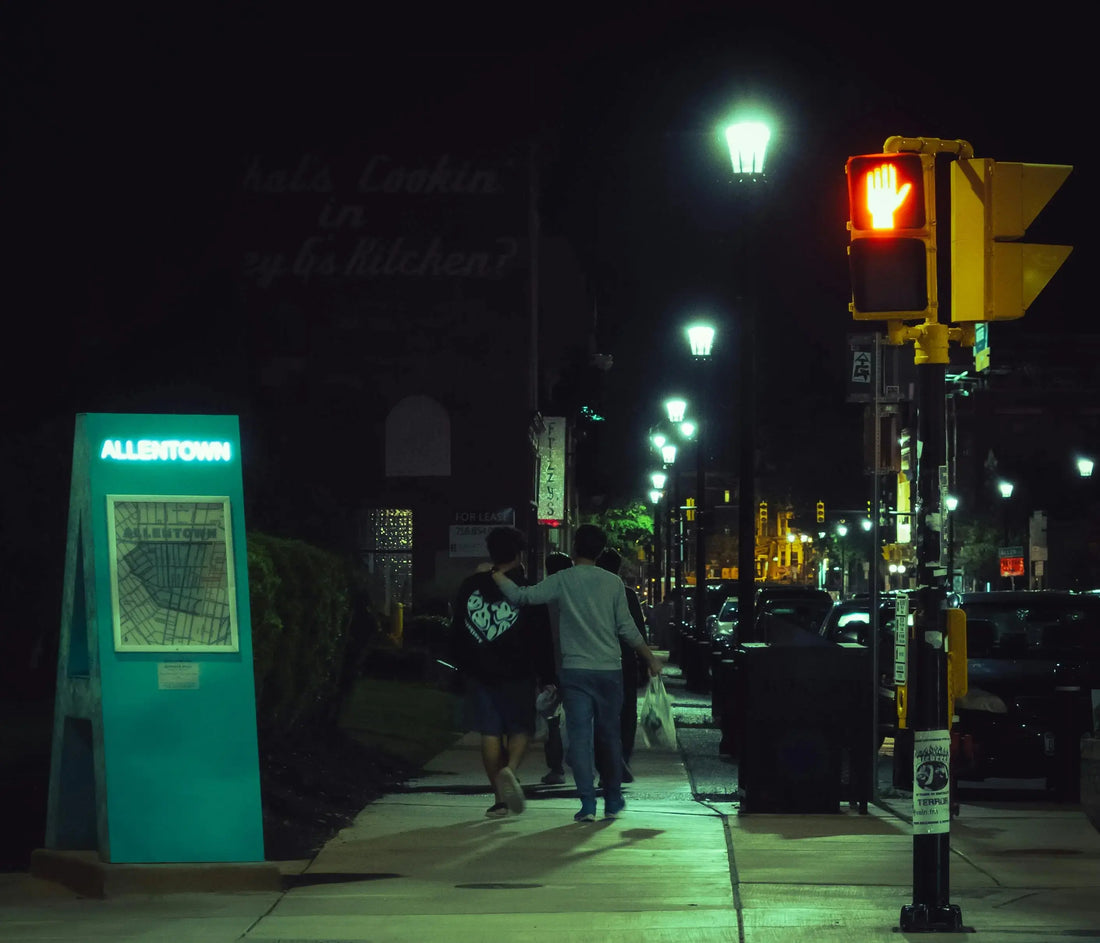 5 Essential Safety Tips for Night Walks: Is Your Dog Truly Visible? - The Big Pet Shop