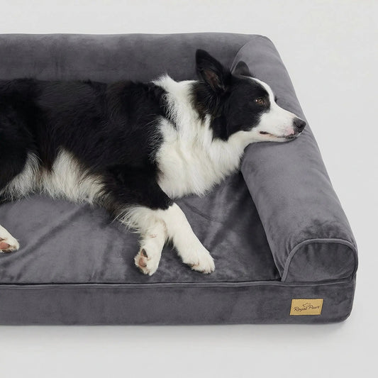 A black-and-white Border Collie sleeps peacefully on a plush grey orthopedic dog bed, resting its head on the raised bolster edge.