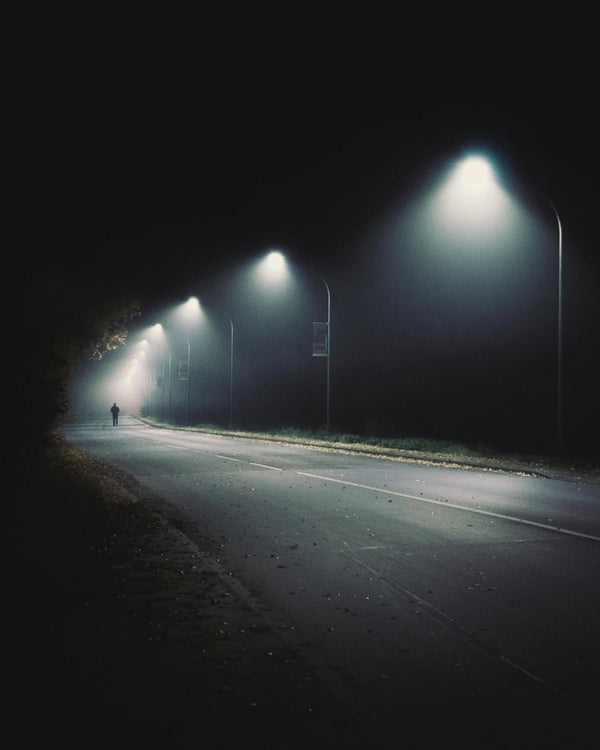 Illuminating the Path: A Comprehensive Guide to Safe Night Walking for Dog Owners The Shift in Sensory Perspective - The Big Pet Shop
