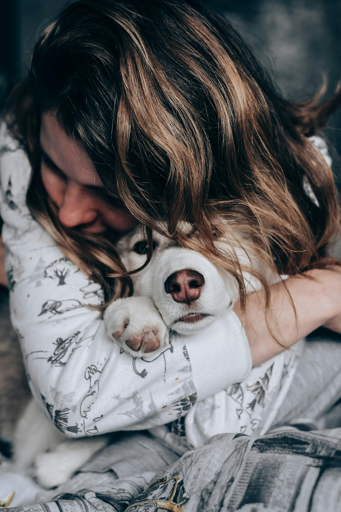 Beyond the Walk: Simple, Meaningful Ways to Bond with Your Dog - The Big Pet Shop