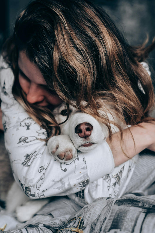 Beyond the Walk: Simple, Meaningful Ways to Bond with Your Dog - The Big Pet Shop