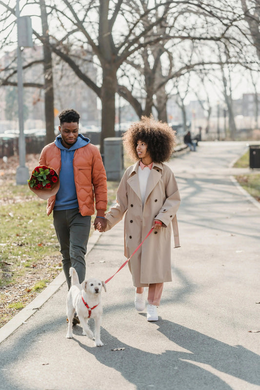 The Ultimate Paw-lentine’s Day Guide: Why Your Dog Is the Best Valentine You’ll Ever Have - The Big Pet Shop