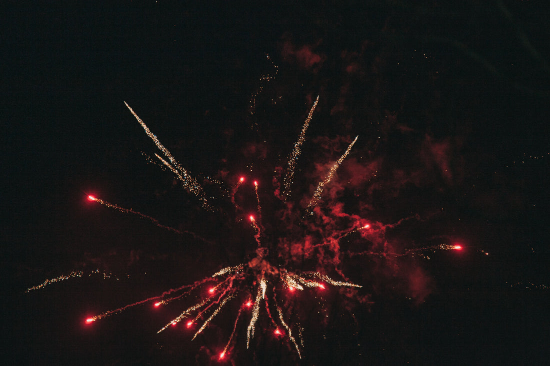 Why Dogs Fear Fireworks: A UK Owner's Guide to Calming an Anxious Dog - The Big Pet Shop