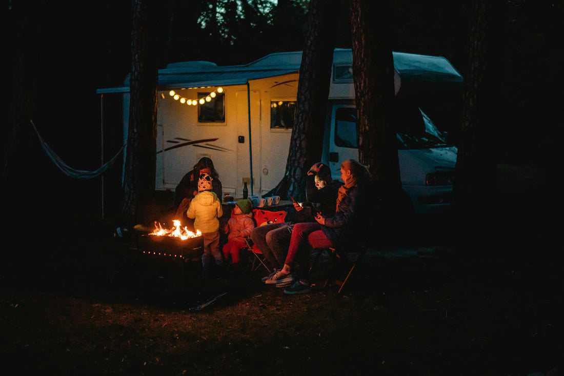 The Ultimate Guide to Camping with Dogs: Gear, Safety, and the Art of the Outdoor Sanctuary - The Big Pet Shop