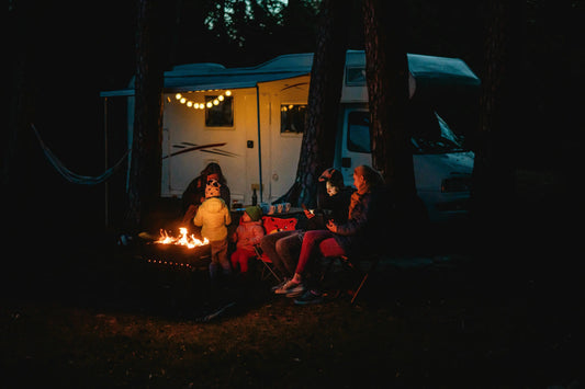 The Ultimate Guide to Camping with Dogs: Gear, Safety, and the Art of the Outdoor Sanctuary - The Big Pet Shop
