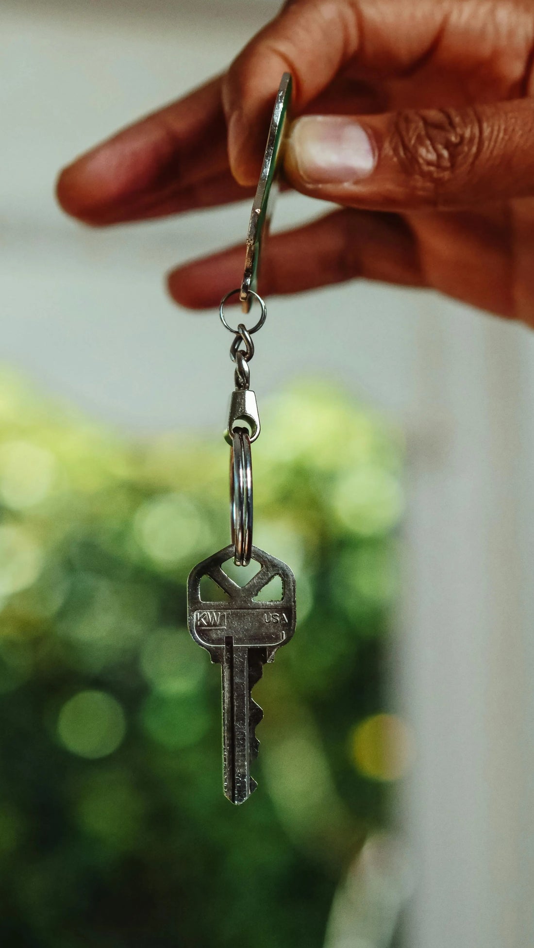The 2025 Legislative Shift: A Comprehensive Analysis of the Renters’ Rights Act and the New Era of Pet Ownership in the UK - The Big Pet Shop