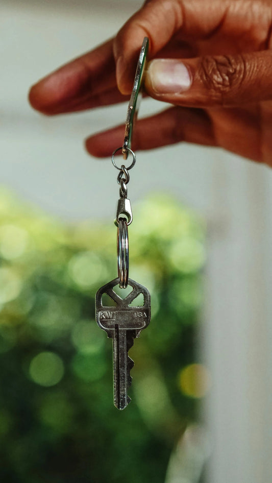 The 2025 Legislative Shift: A Comprehensive Analysis of the Renters’ Rights Act and the New Era of Pet Ownership in the UK - The Big Pet Shop
