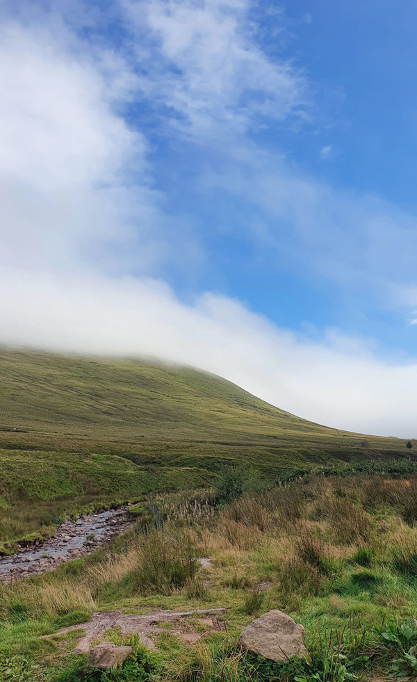 Best Dog Walks Around Pendle Hill - The Big Pet Shop