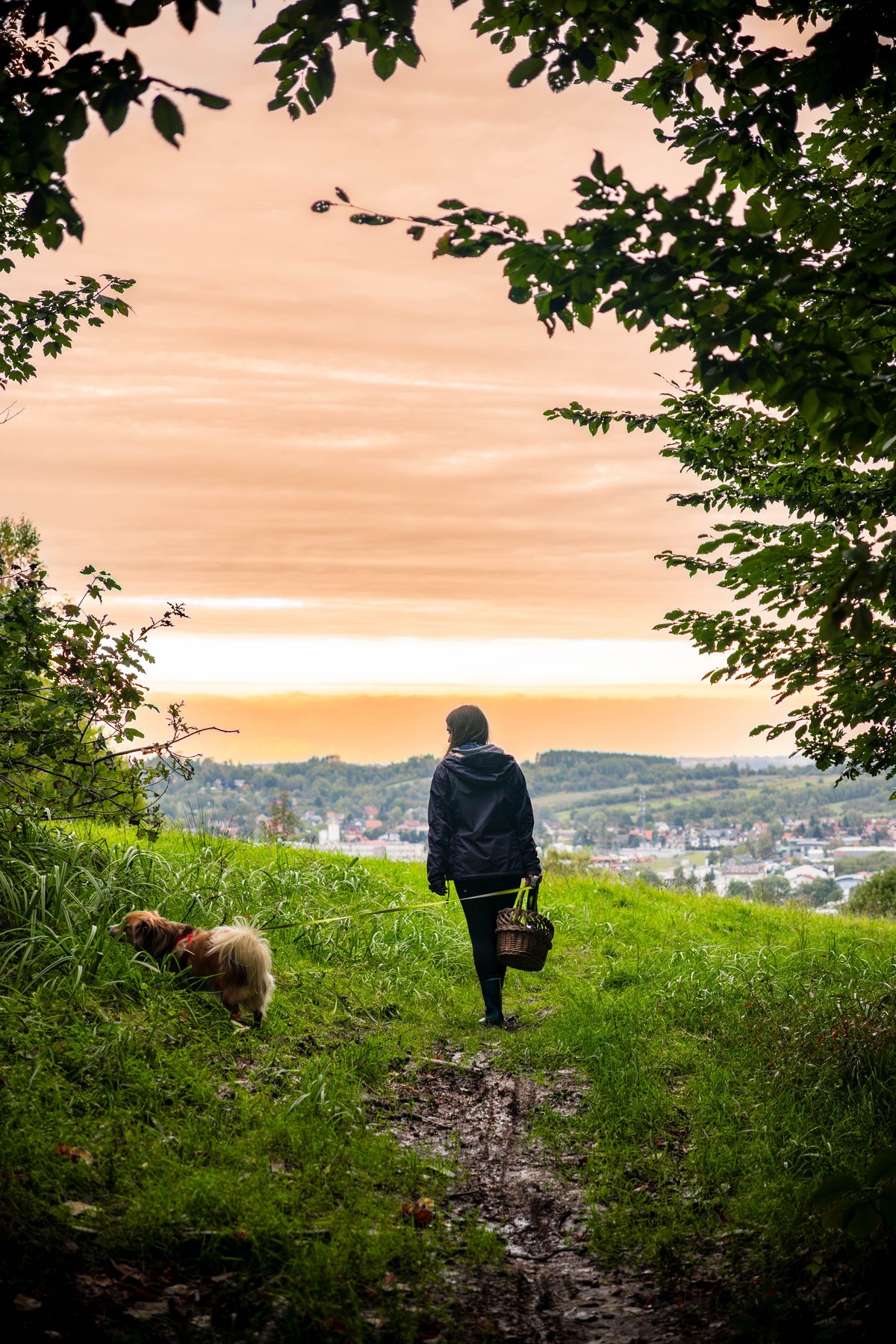 Woman walking a dog along a muddy countryside trail, carrying a basket, with a scenic town and rolling hills in the distance beneath a warm sunset sky.