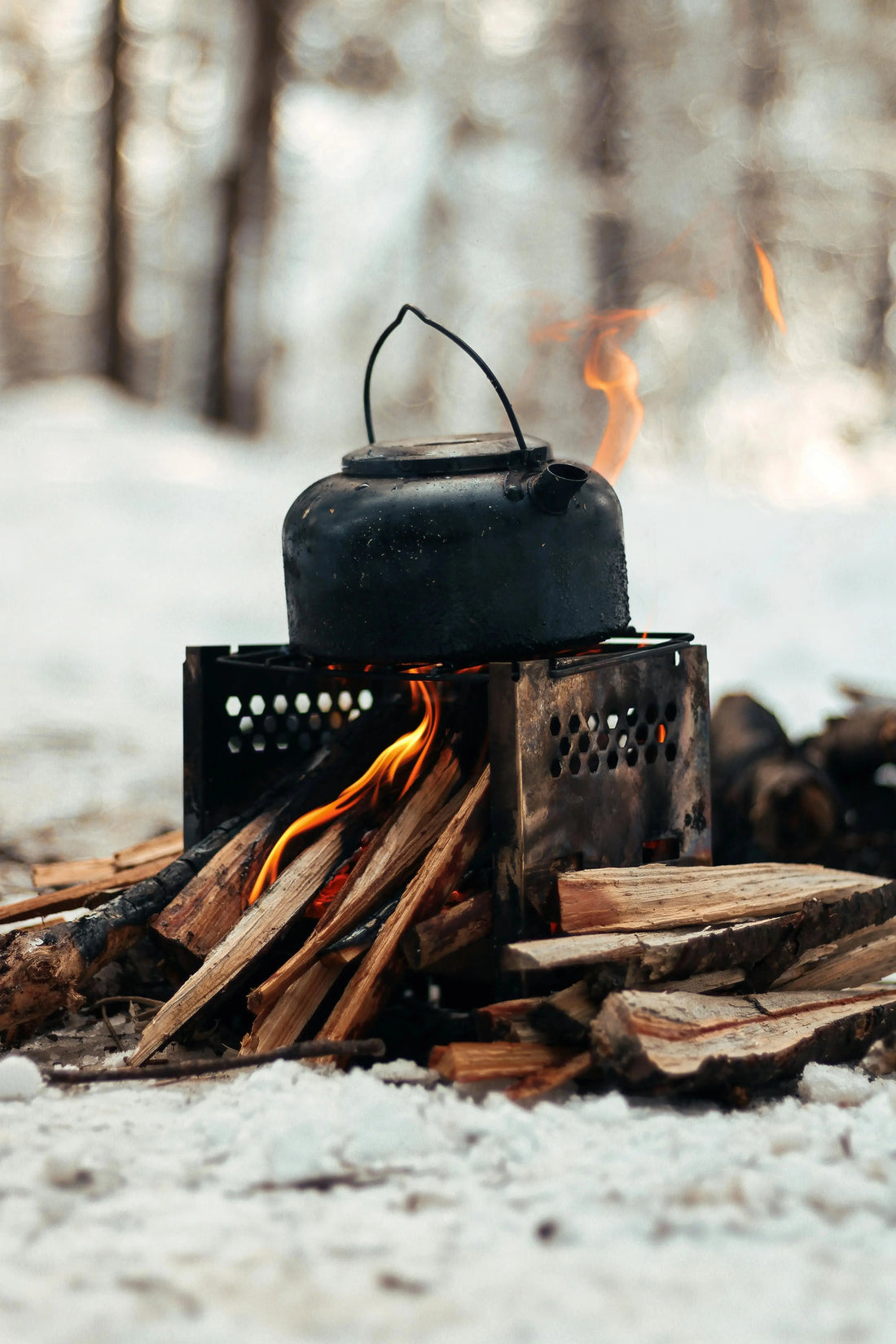The Ultimate Guide to Winter Camping With Dogs: Staying Warm, Safe, and Supported in 2026 - The Big Pet Shop