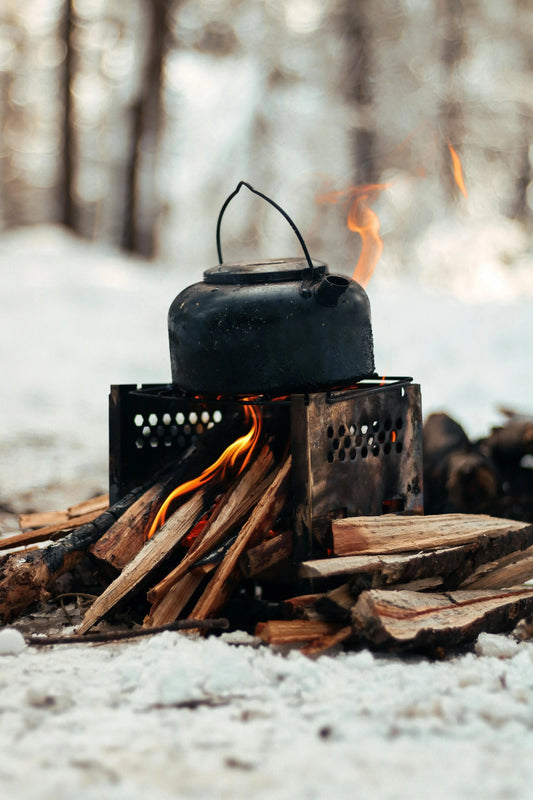 The Ultimate Guide to Winter Camping With Dogs: Staying Warm, Safe, and Supported in 2026 - The Big Pet Shop