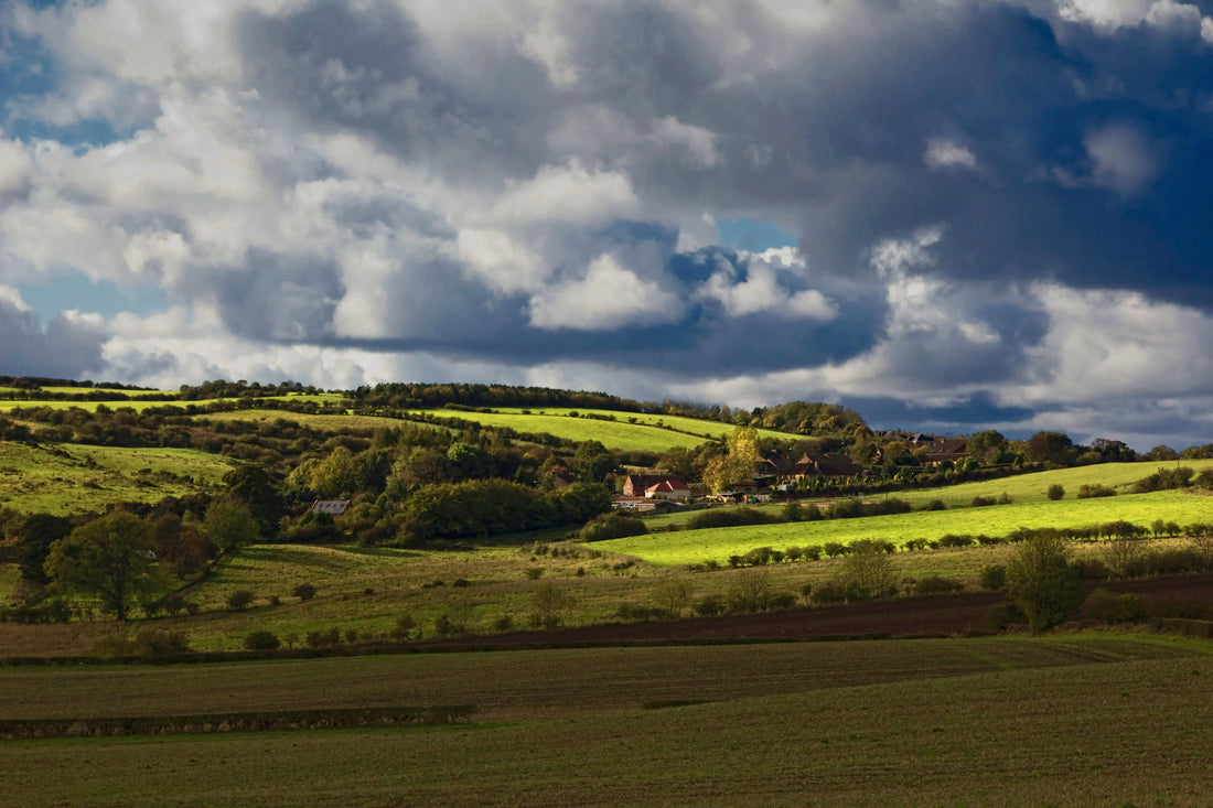 The Ultimate Sunday Reset: Our Favorite Lancashire Dog Walks & Post-Adventure Recovery - The Big Pet Shop