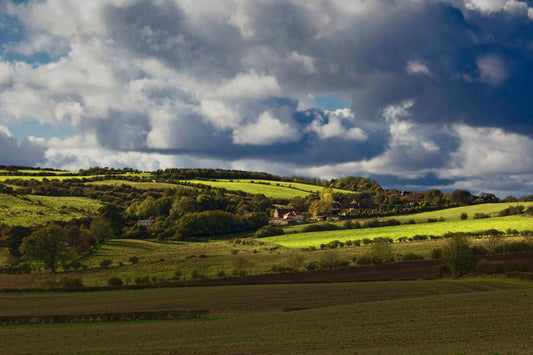 The Ultimate Sunday Reset: Our Favorite Lancashire Dog Walks & Post-Adventure Recovery - The Big Pet Shop