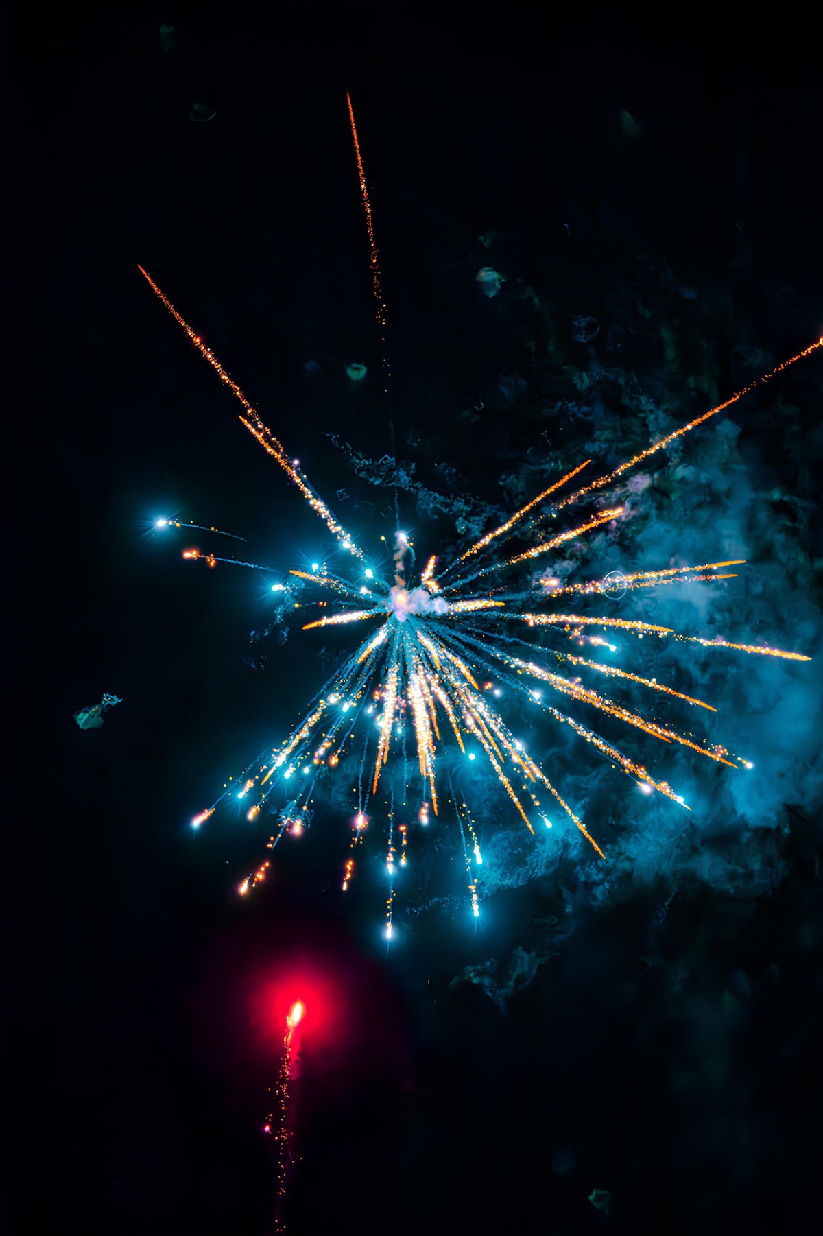 Preparing Your Dog for Firework Season Beyond Bonfire Night - The Big Pet Shop