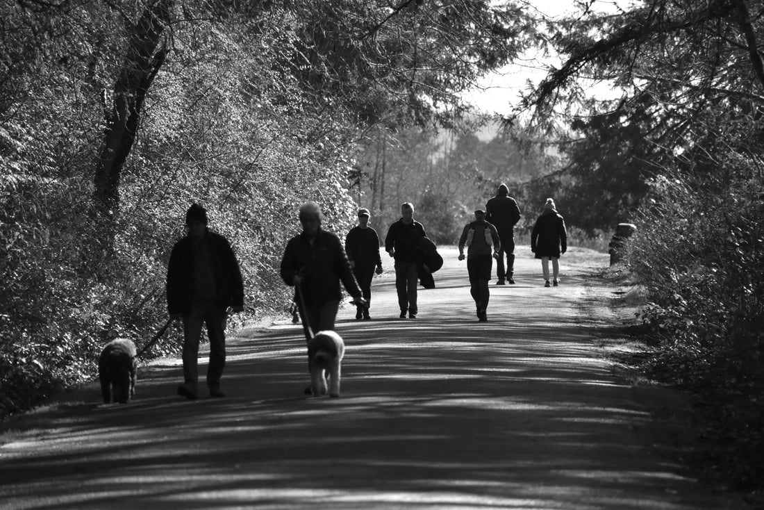 The Serene Side of the Red Rose County: 7 Secluded Dog Walking Routes in Lancashire for Peaceful Adventures - The Big Pet Shop