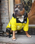 The Dorset Explorer Waterproof Bundle Free Lead - The Big Pet Shop