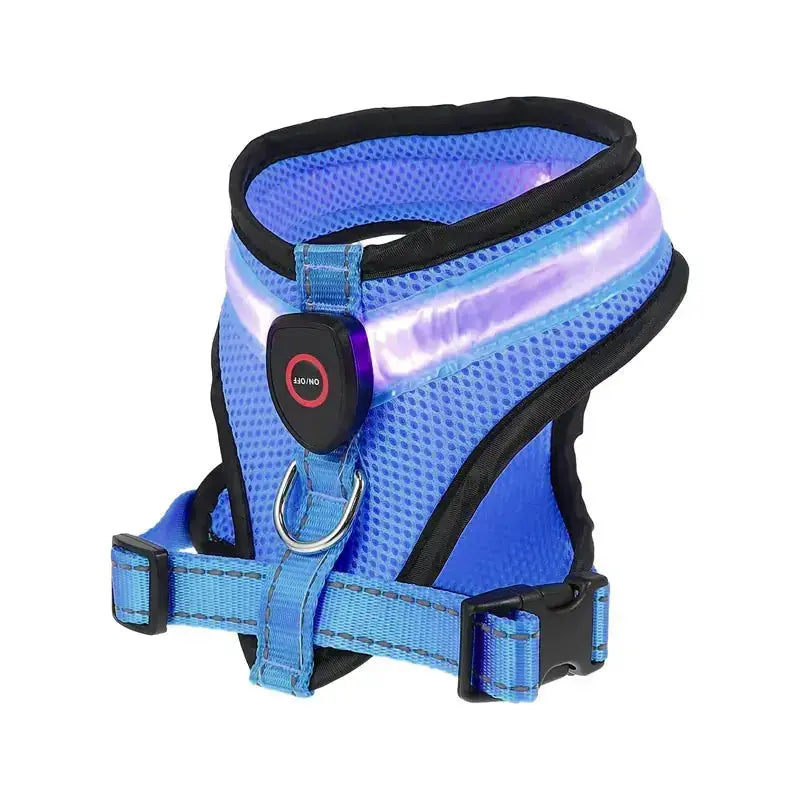 Glow Bright Dog Harness – Keep Your Dog Visible & Safe on Night Walks - The Big Pet Shop