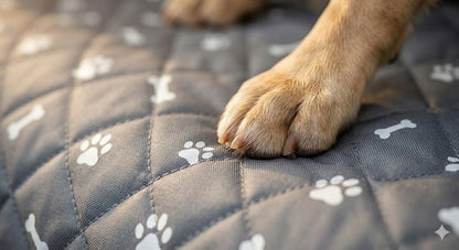 The Big Rover™ Dog Boot Liner - The Big Pet Shop