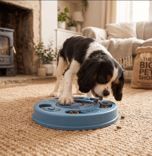 The Big Slow — Interactive Puzzle Feeder Bowl for Dogs, Slow Feeding &amp; Mental Enrichment - The Big Pet Shop