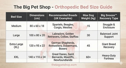 The Big Snooze™ Pro Orthopedic Joint Support Dog Bed - The Big Pet Shop