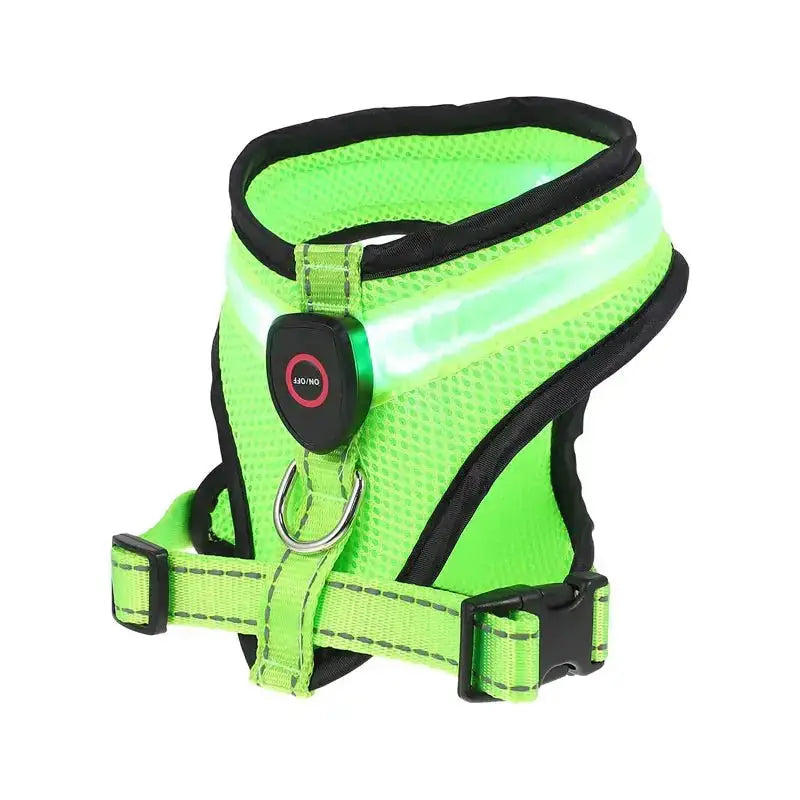 Glow Bright Dog Harness – Keep Your Dog Visible & Safe on Night Walks - The Big Pet Shop