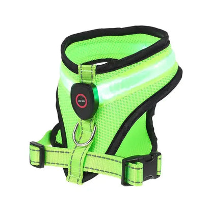 Glow Bright Dog Harness – Keep Your Dog Visible & Safe on Night Walks - The Big Pet Shop