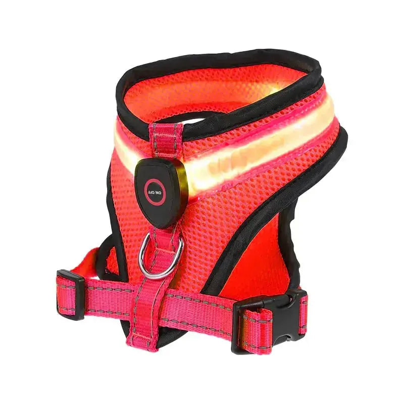Glow Bright Dog Harness – Keep Your Dog Visible & Safe on Night Walks - The Big Pet Shop