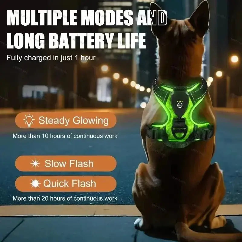 Glow Bright Dog Harness – Keep Your Dog Visible & Safe on Night Walks - The Big Pet Shop