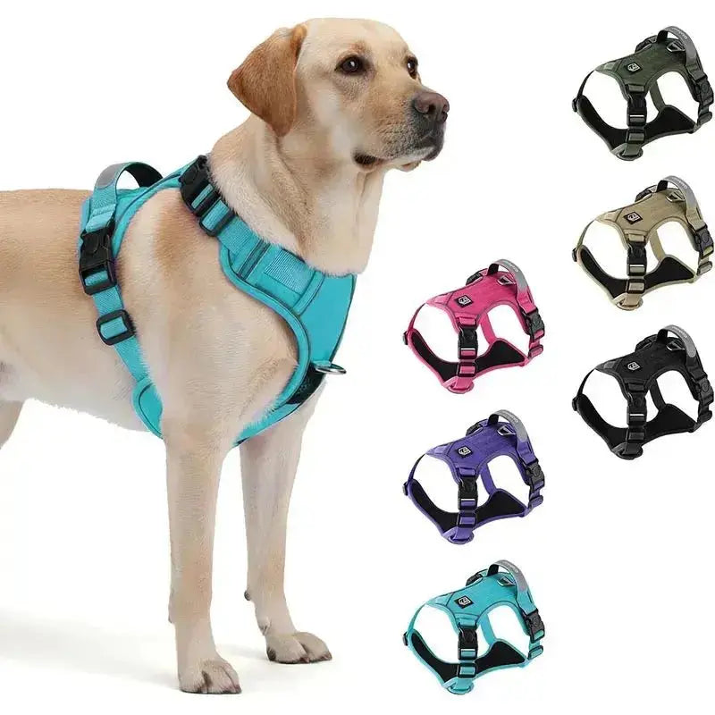 The Dorset Explorer™: No - Pull AirTag Safety Harness + FREE Matching heavy duty Lead (Launch Deal) - The Big Pet Shop