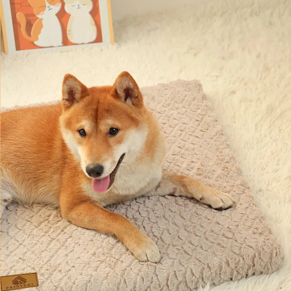 The Big Snooze Orthopedic Crate Mat Size Guide - The Big Pet Shop