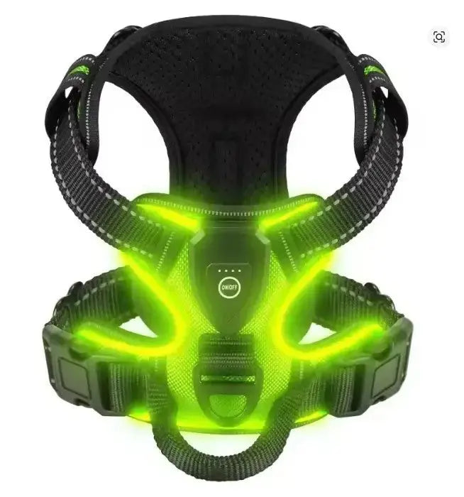 Glow Bright Dog Harness – Keep Your Dog Visible & Safe on Night Walks - The Big Pet Shop