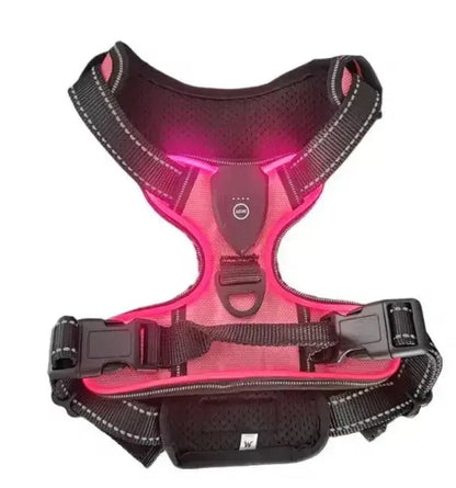Glow Bright Dog Harness – Keep Your Dog Visible & Safe on Night Walks - The Big Pet Shop