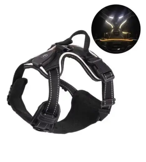 Glow Bright Dog Harness – Keep Your Dog Visible & Safe on Night Walks - The Big Pet Shop