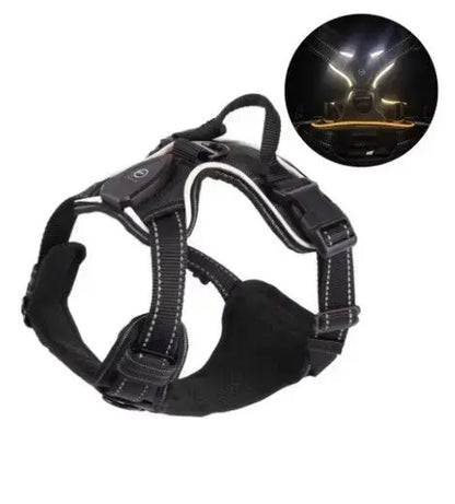 Glow Bright Dog Harness – Keep Your Dog Visible & Safe on Night Walks - The Big Pet Shop