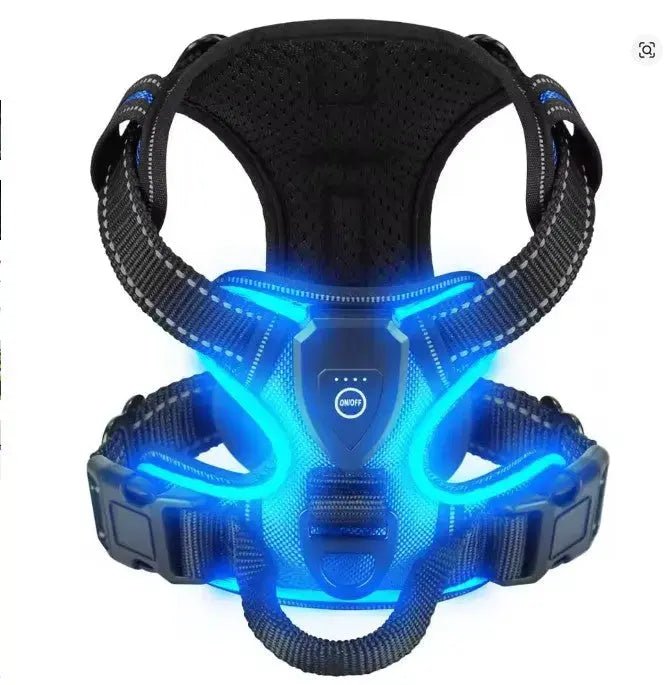 Glow Bright Dog Harness – Keep Your Dog Visible & Safe on Night Walks - The Big Pet Shop