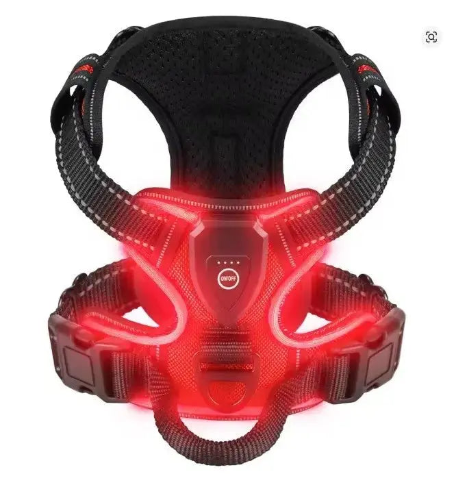 Glow Bright Dog Harness – Keep Your Dog Visible & Safe on Night Walks - The Big Pet Shop
