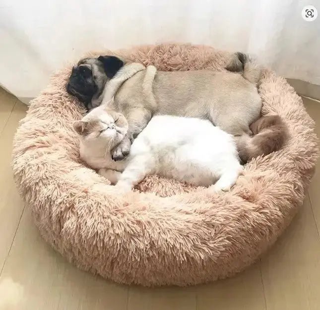 The Big Snooze Anti - Anxiety Dog Bed - The Big Pet Shop
