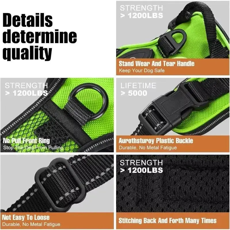 Glow Bright Dog Harness – Keep Your Dog Visible & Safe on Night Walks - The Big Pet Shop