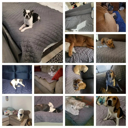 The Big Dry™ Waterproof Dog Blanket – Reversible Sofa, Bed & Car Seat Protector - The Big Pet Shop