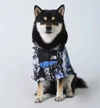 The Dorset Explorer Waterproof Dog Jacket Bundle UK - The Big Pet Shop