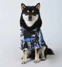 The Dorset Explorer™ Storm - Breaker Bundle: Waterproof Jacket & FREE Reflective Lead - The Big Pet Shop