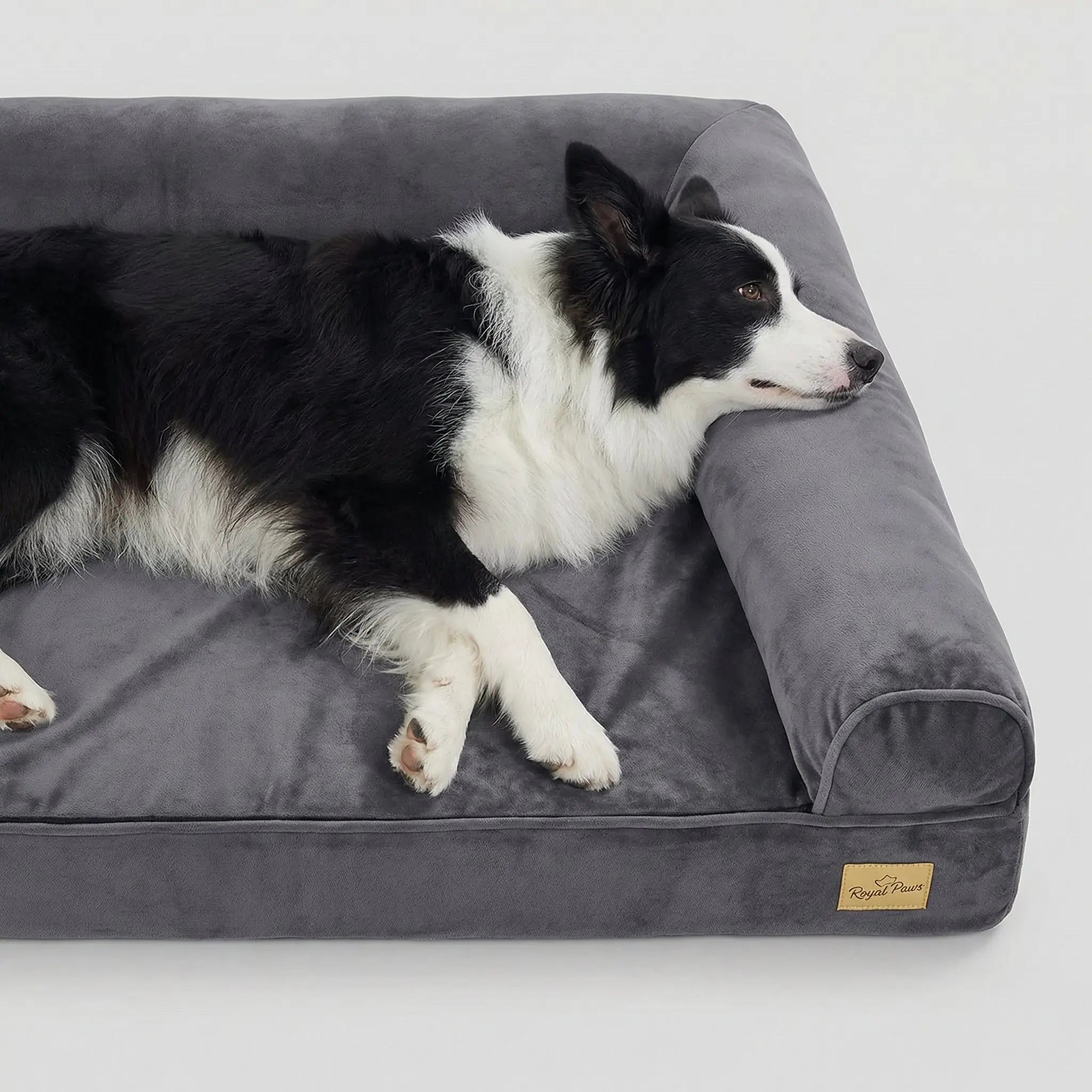 The Big Snooze Pro Orthopedic Joint Support Dog Bed - The Big Pet Shop