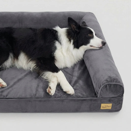The Big Snooze™ Pro Orthopedic Joint Support Dog Bed - The Big Pet Shop