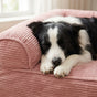 The Big Snooze™ Pro Orthopedic Joint Support Dog Bed - The Big Pet Shop