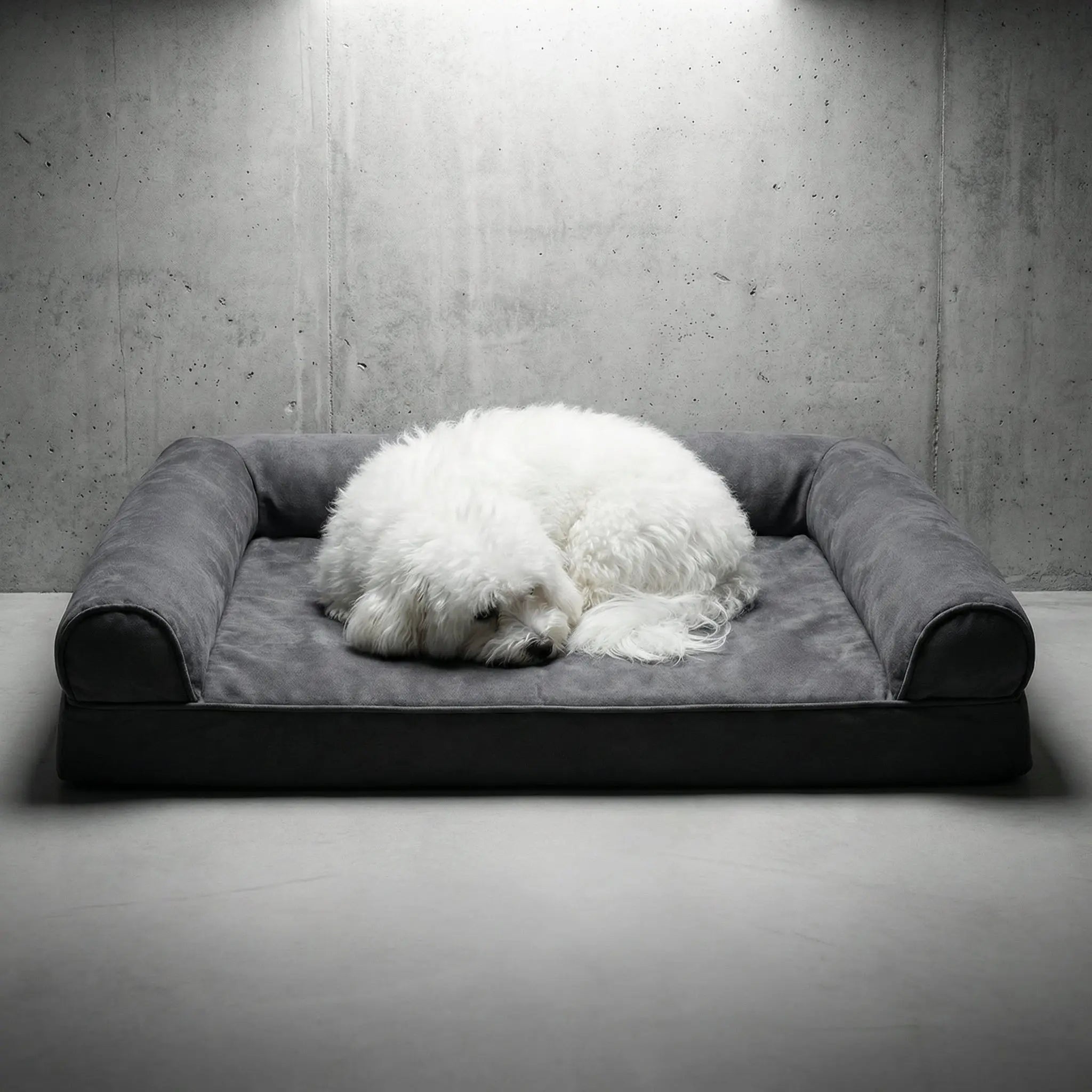 The Big Snooze Pro Dog Bed with Bolster Sides - The Big Pet Shop