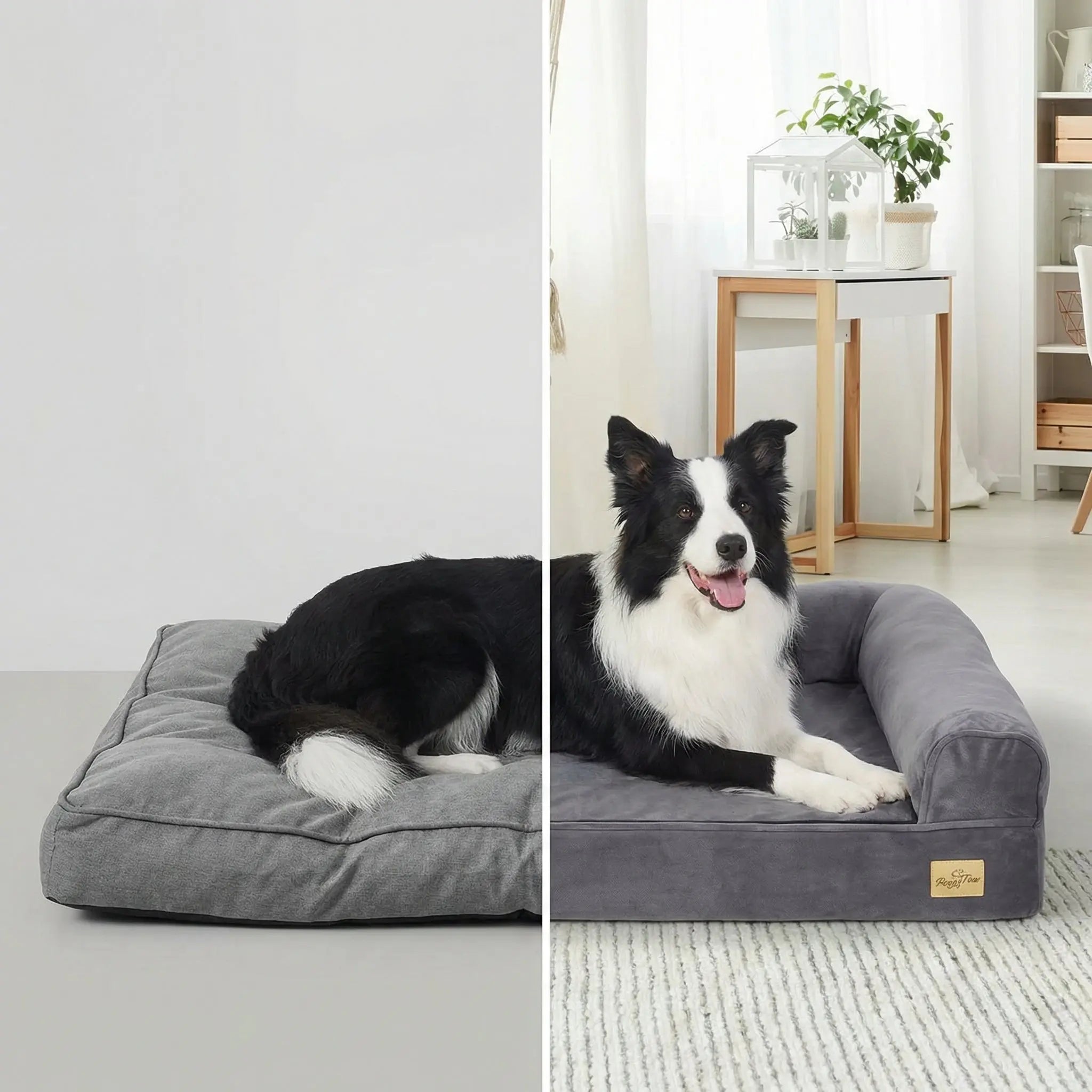 The Big Snooze Pro Orthopedic Memory Foam Dog Bed - The Big Pet Shop