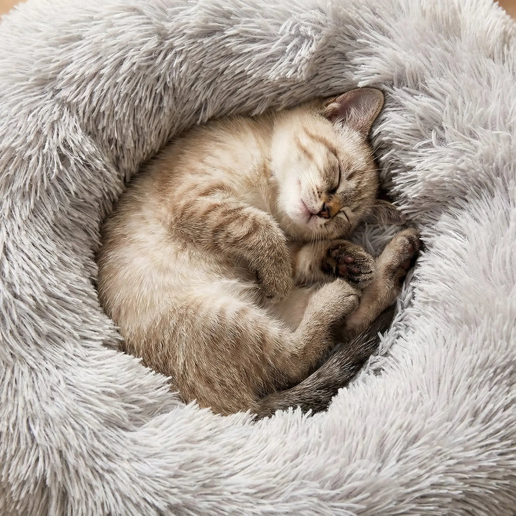The Big Snooze Dog Anxiety Bed Size Guide - The Big Pet Shop