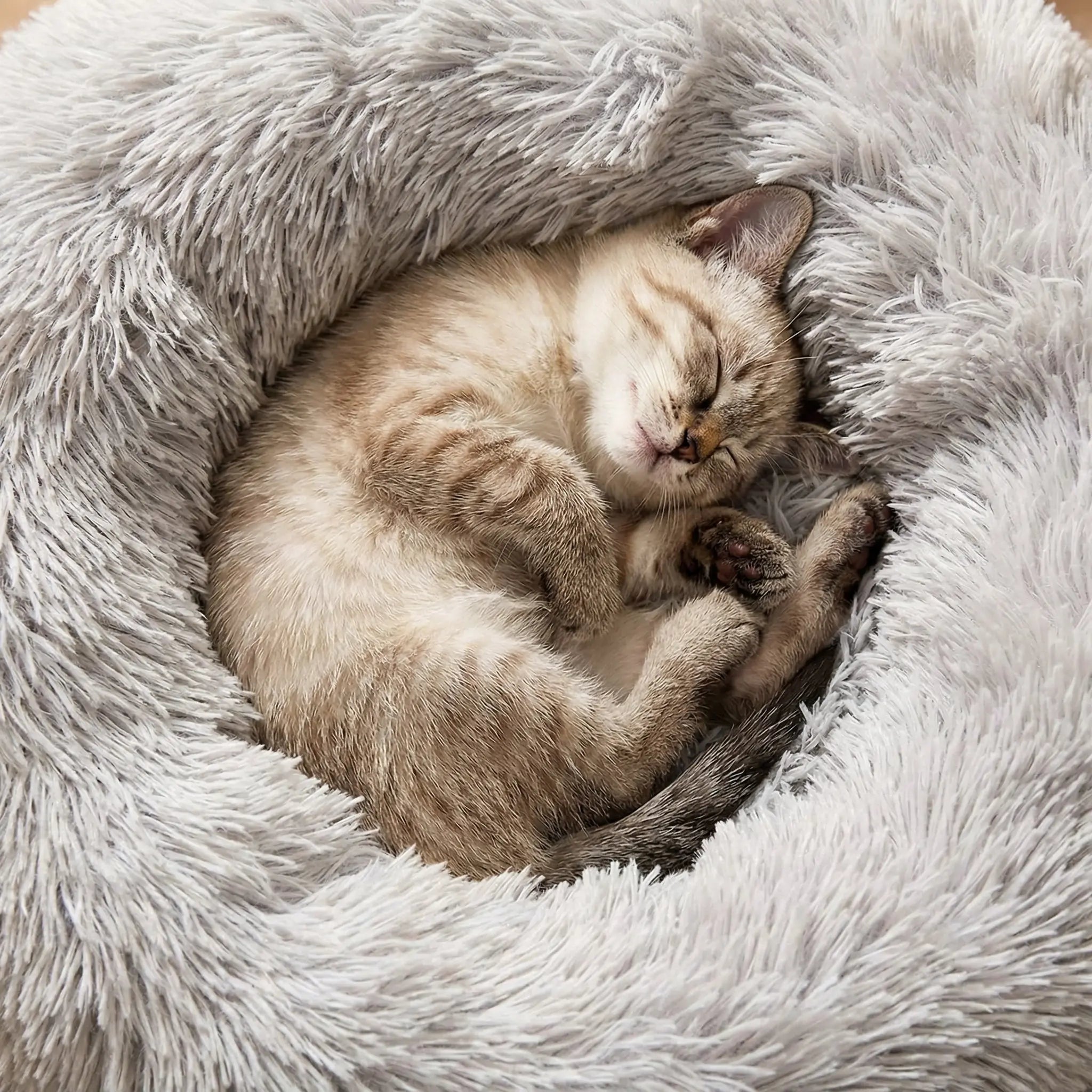 The Big Snooze Dog Anxiety Bed Size Guide - The Big Pet Shop