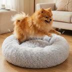 The Big Snooze Anti-Anxiety Dog Bed Large - The Big Pet Shop